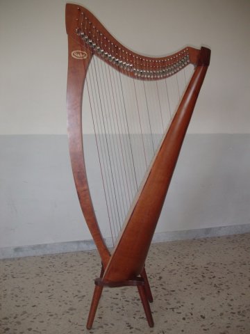 L\'arpa  Salvi